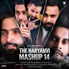 About The Haryanvi Mashup 14 Song